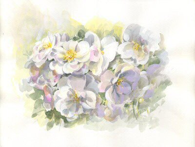 Petites Roses blanches